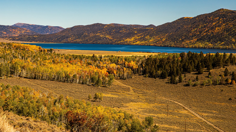 Fall colors at Fish Lake, Utah