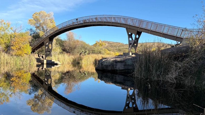 An arched pedestrian bridge over a waterway at Patagonia Lake State Park in Arizona