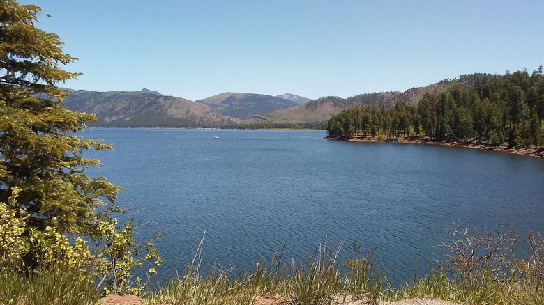 Boaters out on Vallecito Lake in Colorado on a sunny day