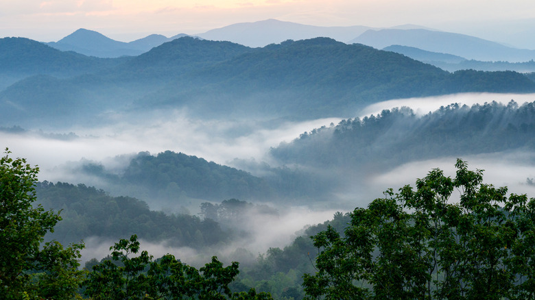 Aerial of mist-covered mountains in the Great Smokies