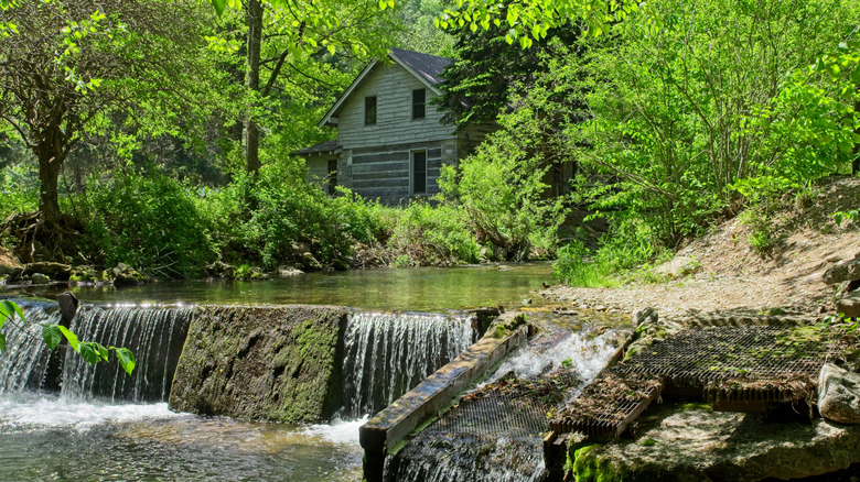 A cabin and creek in the forest in Maggie Valley
