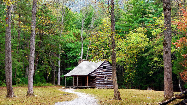 A historic cabin in the Cades Cove section of Great Smoky Mountains National Park