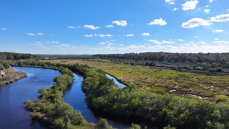 Ormond Scenic Loop and Trail