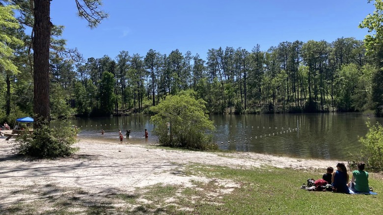 Falling Waters State Park beach