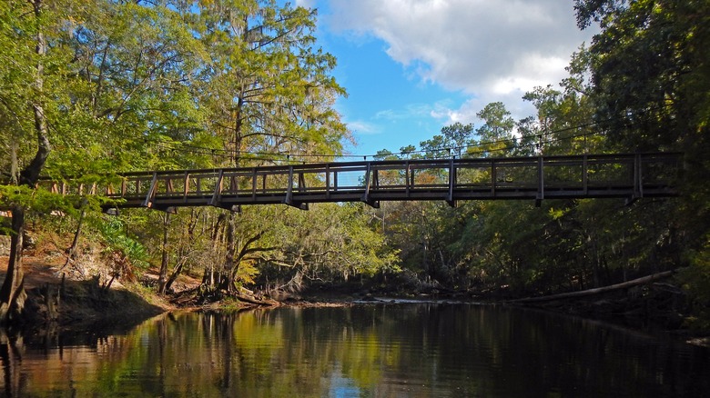 Suspension bridge at O'Leno