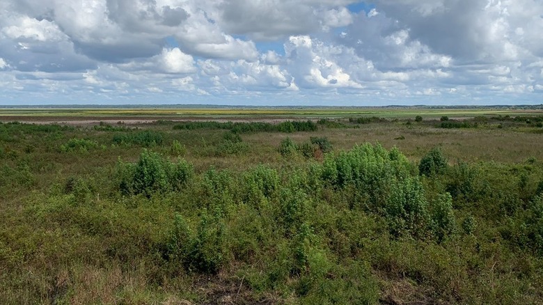 Prairies on a cloudy day