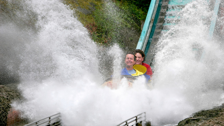Guests splashing down at Enchanted Forest.