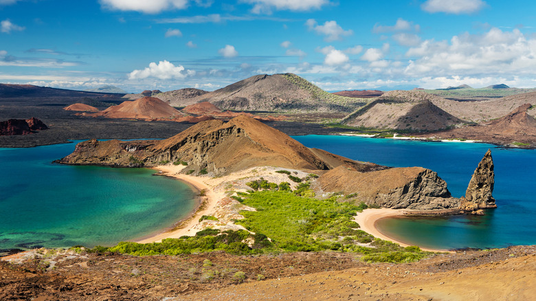 beach in Galapagos