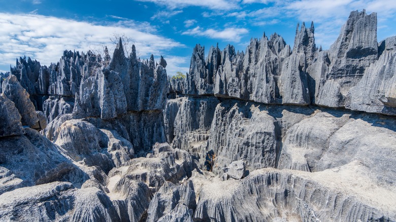 Tsingy de Bemaraha