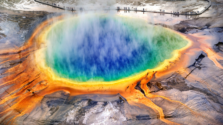 spring in Yellowstone