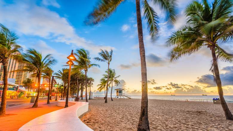 A beach with palm trees and buildings in the background