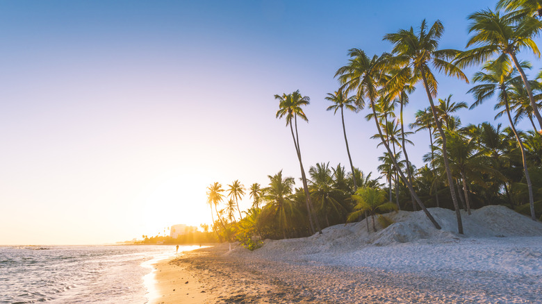 View of a beach in the Dominican Republic