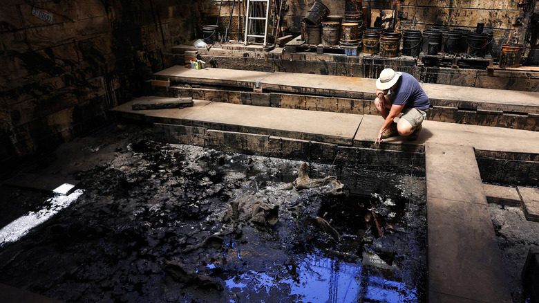 An excavation at the La Brea Tar Pits.