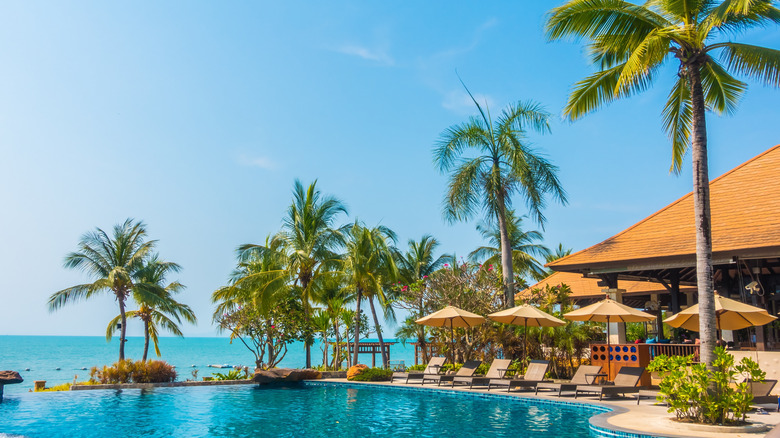 Hotel swimming pool with palm trees, reclined chairs, and umbrellas