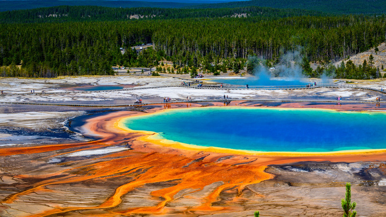 A section of the Grand Prismatic Spring taken from the overlook in Yellowstone National Park