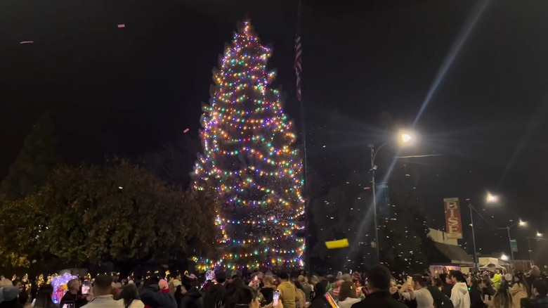The Christmas tree at Brehler Square in Sanger, California