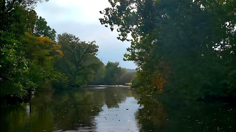 A view of the river in Buchanan, Michigan