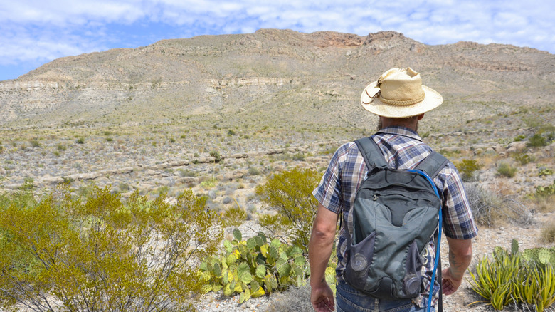 A hiker in Big Bend National Park
