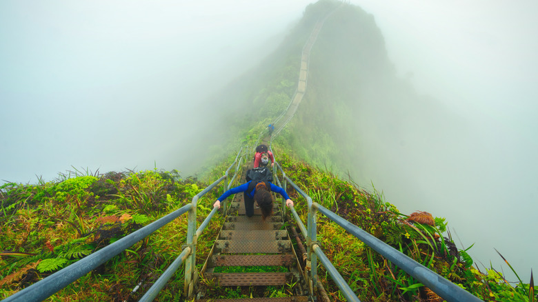 Hiker on misty Haiku Stairs in Oahu, Hawaii