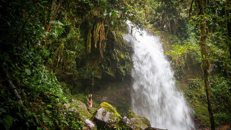 A waterfall in the jungle of Boquete, Panama
