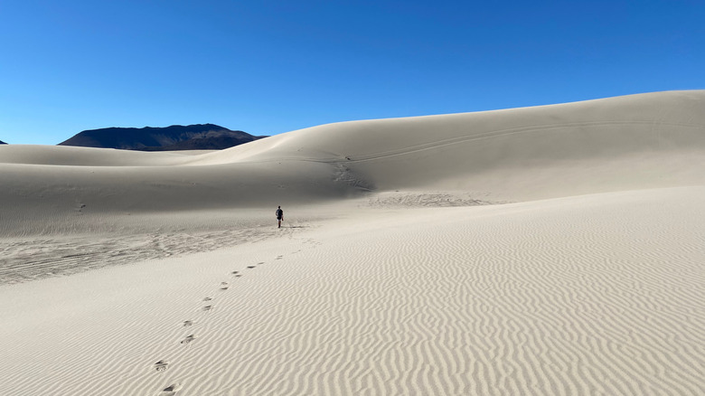 Sand Mountain Recreation Area on a clear day, Fallon, Nevada
