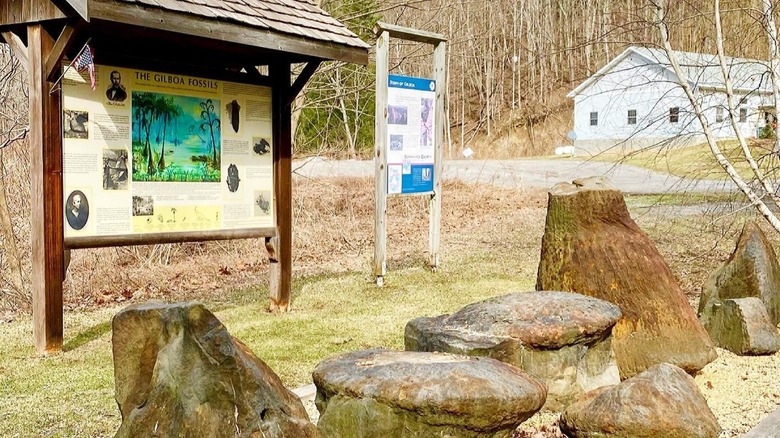 Gilboa Fossils sign behind fossilized tree stumps