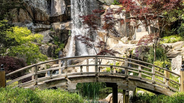 Arched stone bridge in front of cascading waterfall with red and green pruned trees Maymont Japanese garden