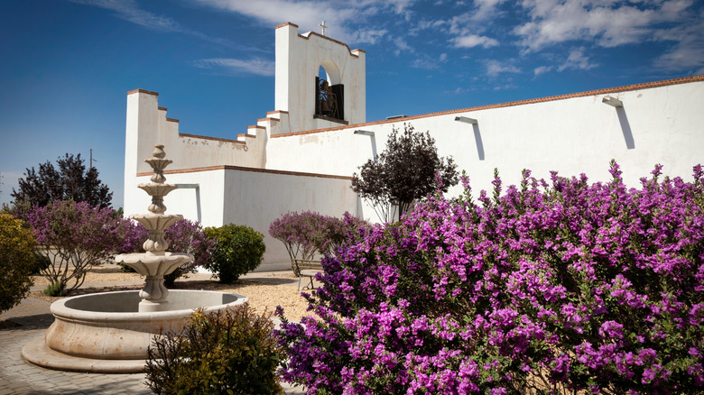 Purple flowers and a fountain on the grounds of Socorro Mission