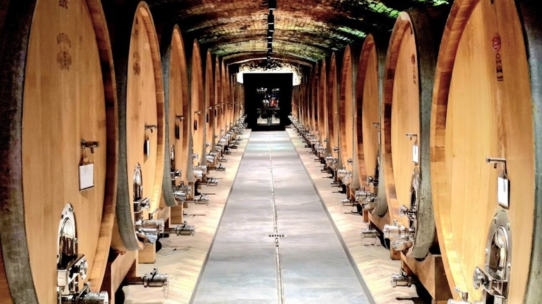 Wine cellar at Kutjevo