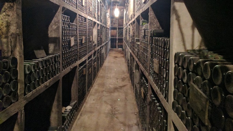 Wine cellar at Ptujska Klet