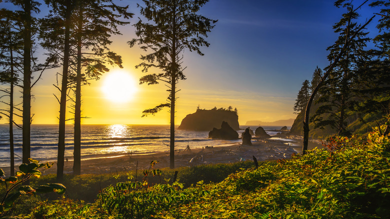 Sunset at Ruby Beach, Washington