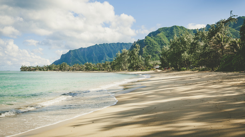 Green mountains fall to lonely beach in O'ahu, Hawai'i