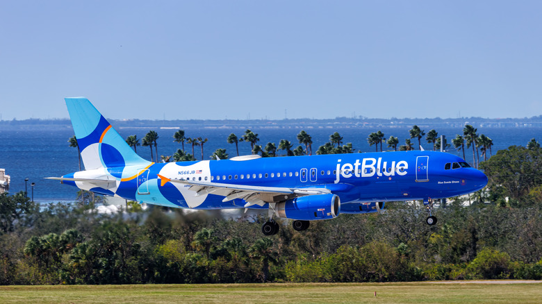 Jetblue aircraft landing in Tampa