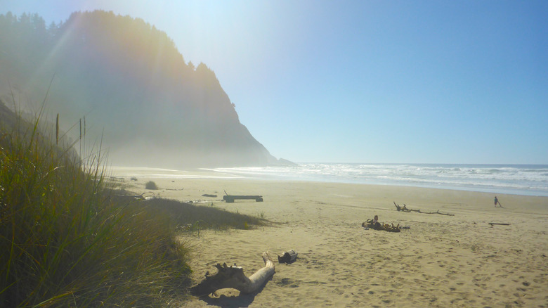 The endpoint of the Hobbit Trail, Oregon