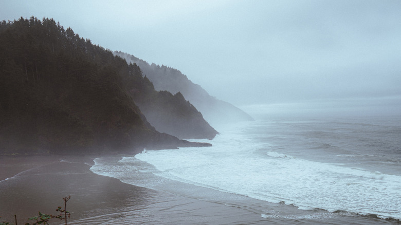The view from Heceta Head Lighthouse in Carl G. Washburne State Park, Oregon.