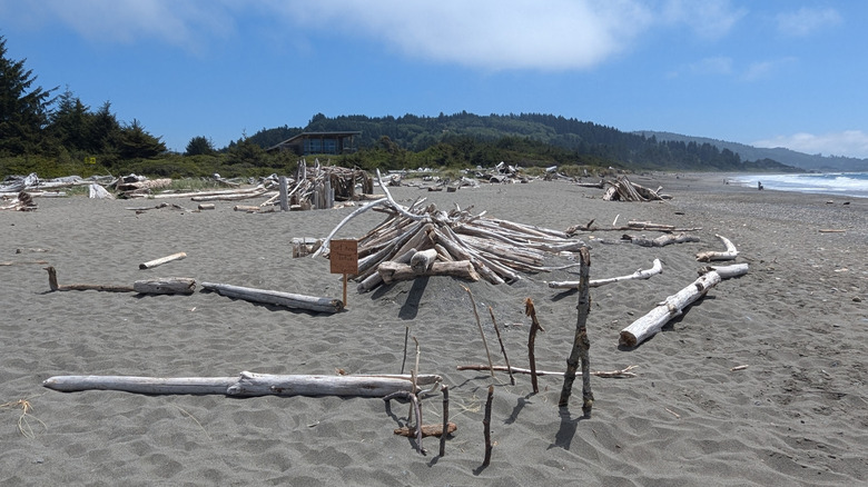 Driftwood arranged on the shore at Crissey Field State Recreation Site in Oregon