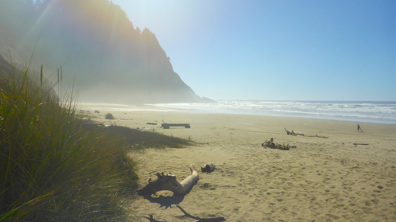 Hobbit Beach with driftwood on the shore and small ocean waves