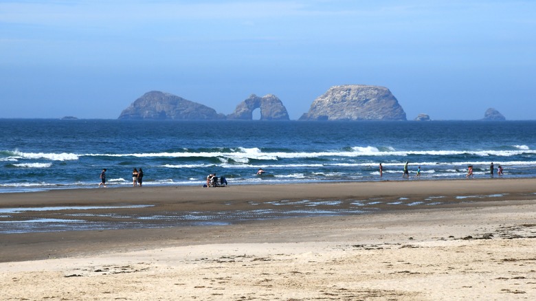 The beach and seastacks at Cape Lookout State Park in Oregon