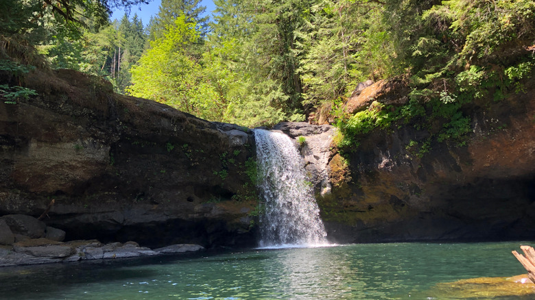 Coquille Falls surrounded by forest in Oregon