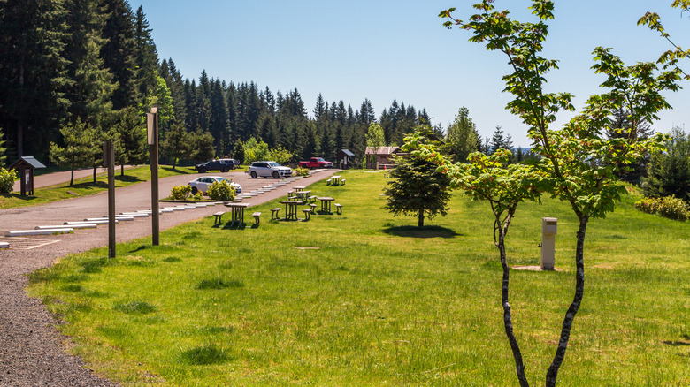 The parking area in the L.L. Stub Stewart State Park, Oregon