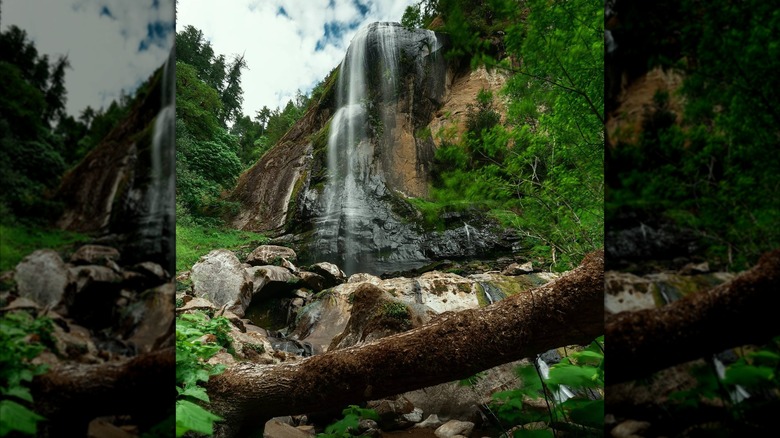 Waterfall in Golden and Silver Falls State Natural Area, Oregon