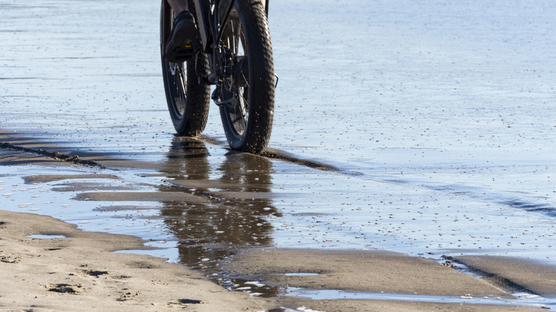 a close up of a fat bike riding through wet sand on the beach