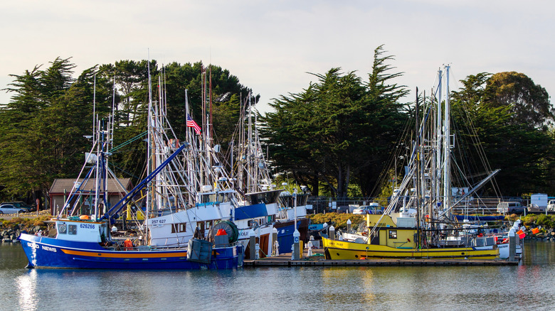Boats at Woodley Island Marina in Humboldt Bay