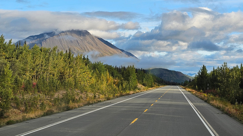 View of the Alaska Highway surrounded by forest and mountains