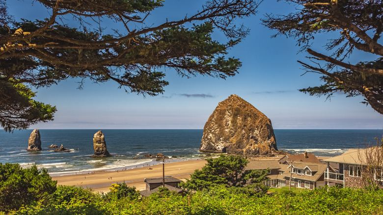Landscape of Cannon Beach