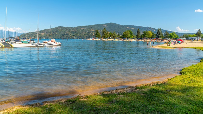 Beach in Sandpoint Idaho