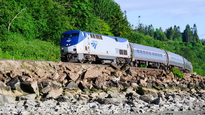 An Amtrak Cascades train framed by Pacific Northwest scenery