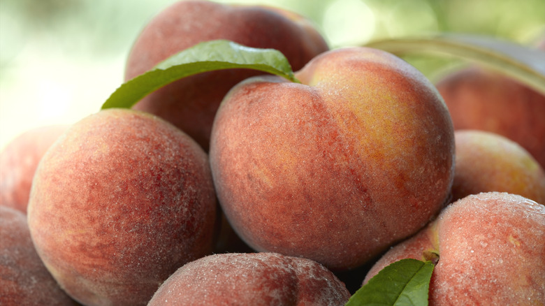 A pile of peaches, two with green leaves attached