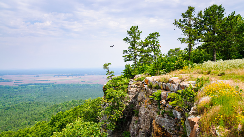 Petit Jean State Park offering breathtaking vistas and immersion in nature, just outside of Atkins, Arkansas