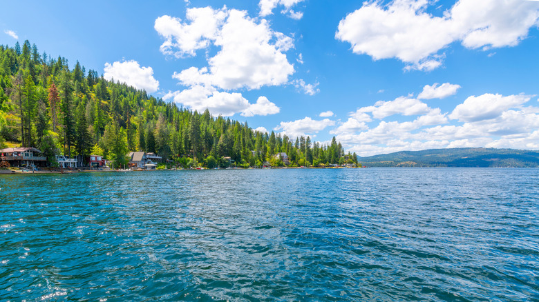 View of the Coeur d'Alene lake and tree-lined coast